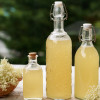syrop-z-kwiatow-czarnego-bzu